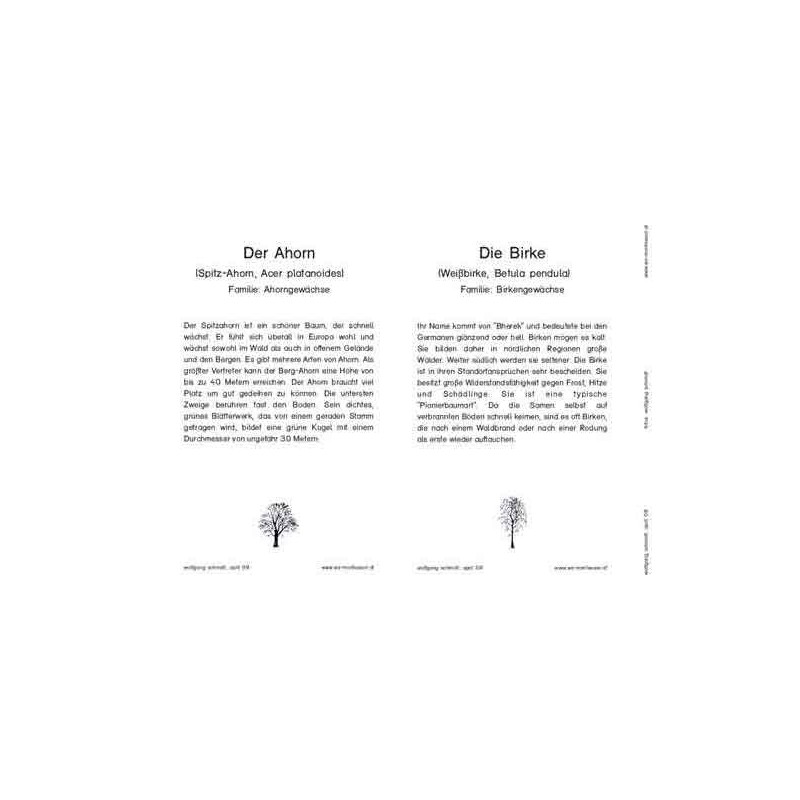 Trees - deciduous trees