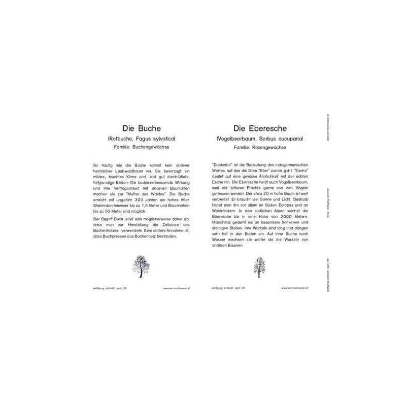 Trees - deciduous trees