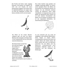 Trees - deciduous trees