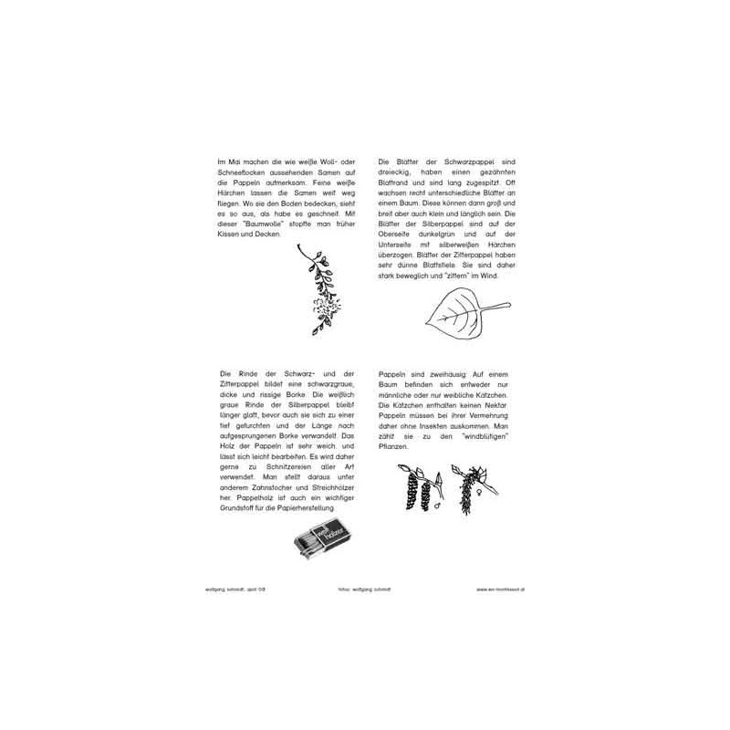 Trees - deciduous trees