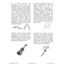 Stromy - listnaté stromy