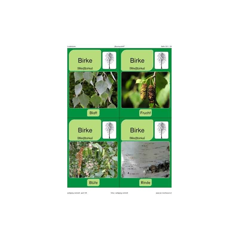 Trees - deciduous trees