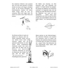 Trees - deciduous trees