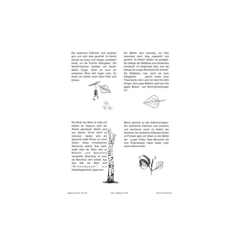 Trees - deciduous trees