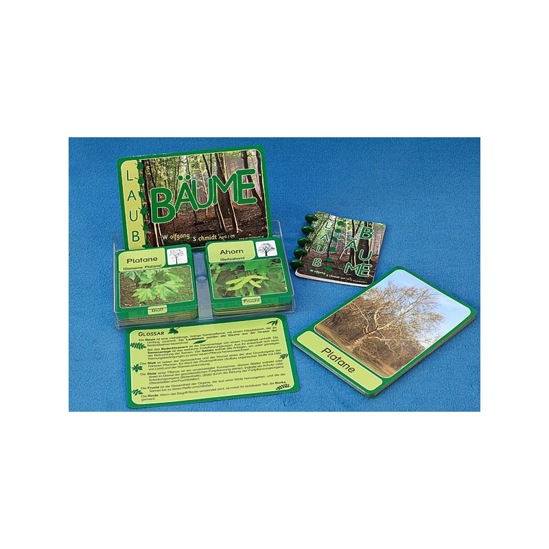 Trees - deciduous trees