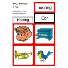 Starostlivosť o telo - zmysly (Tento článok je k dispozícii aj v nemčine).