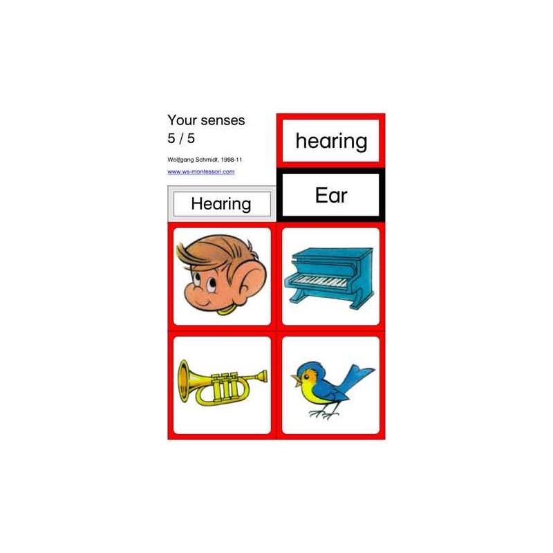 Starostlivosť o telo - zmysly (Tento článok je k dispozícii aj v nemčine).