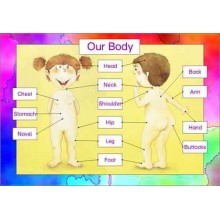 Body - Care - Senses (This article is also available in German)