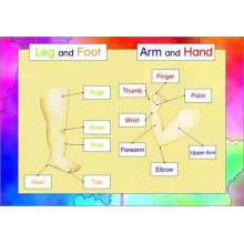 Starostlivosť o telo - zmysly (Tento článok je k dispozícii aj v nemčine).