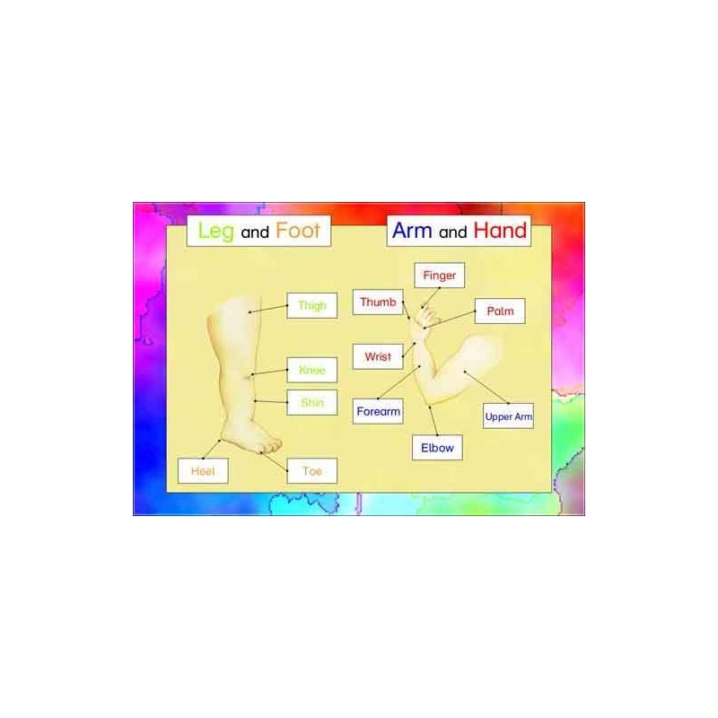 Body - Care - Senses	 (Dieser Artikel ist auch in deutsch erhältlich)