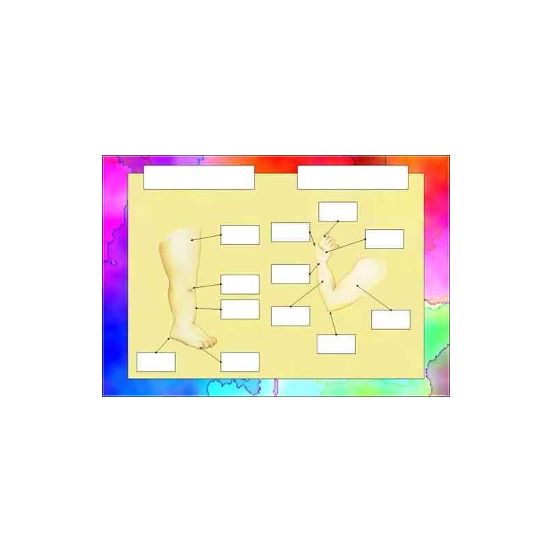 Body - Care - Senses	 (Dieser Artikel ist auch in deutsch erhältlich)