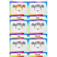 Starostlivosť o telo - zmysly (Tento článok je k dispozícii aj v nemčine).