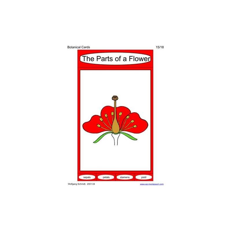 Botanical Cards (This article is also available in German)