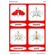 Botanical Cards (This article is also available in German)
