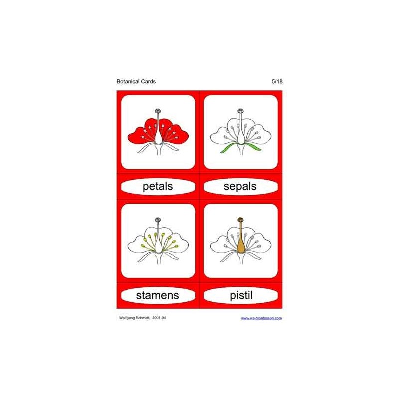 Botanical Cards (Dieser Artikel ist auch in deutsch erhältlich)