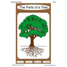 Botanical Cards (This article is also available in German)