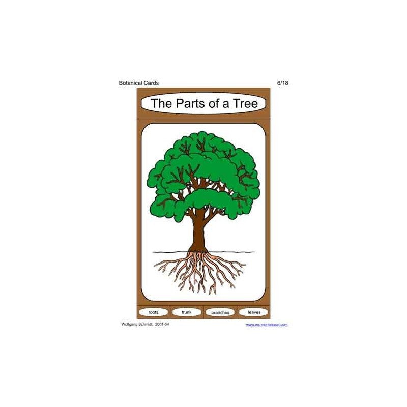 Botanical Cards (This article is also available in German)