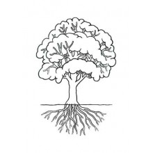 Botanical Cards (This article is also available in German)