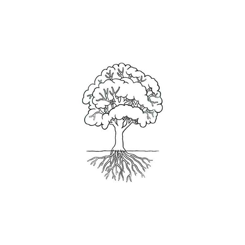 Botanical Cards (Dieser Artikel ist auch in deutsch erhältlich)