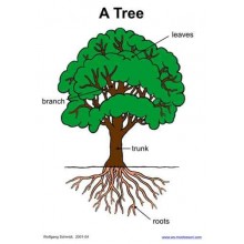 Botanical Cards (This article is also available in German)