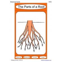 Botanical Cards (This article is also available in German)