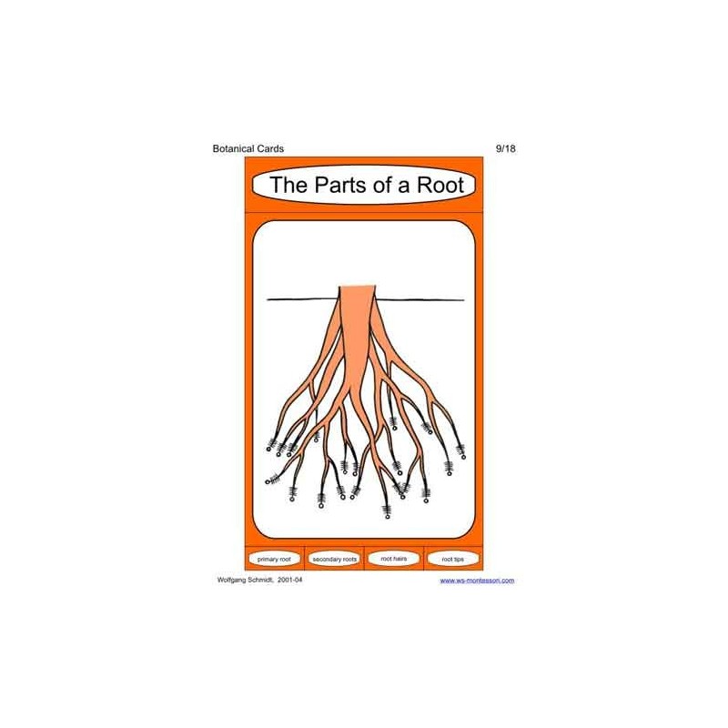 Botanical Cards (This article is also available in German)