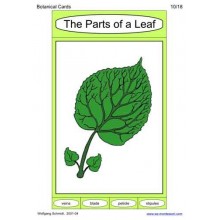 Botanical Cards (This article is also available in German)