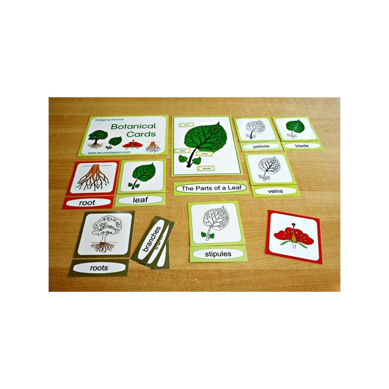 Botanical Cards (This article is also available in German)
