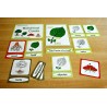 Botanical Cards (This article is also available in German)