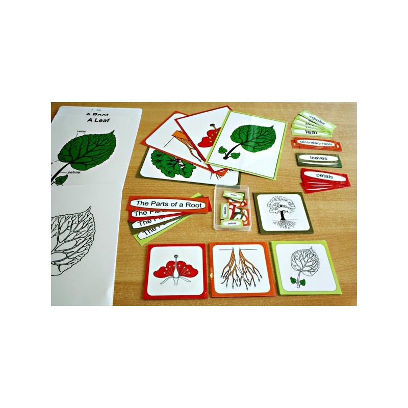 Botanical Cards (This article is also available in German)