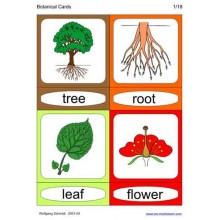 Botanical Cards (This article is also available in German)