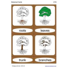 Botanical Cards (This article is also available in German)