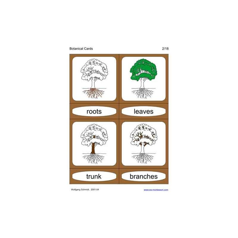 Botanical Cards (This article is also available in German)