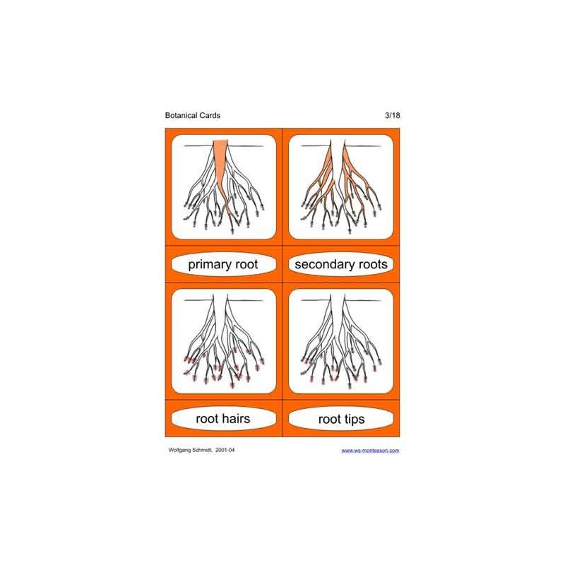 Botanical Cards (Dieser Artikel ist auch in deutsch erhältlich)