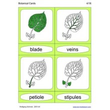 Botanical Cards (This article is also available in German)