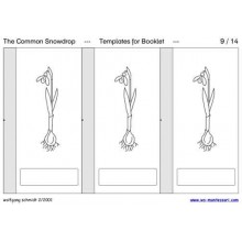 Common Snowdrop (This article is also available in German)