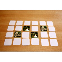 Common Snowdrop (This article is also available in German)