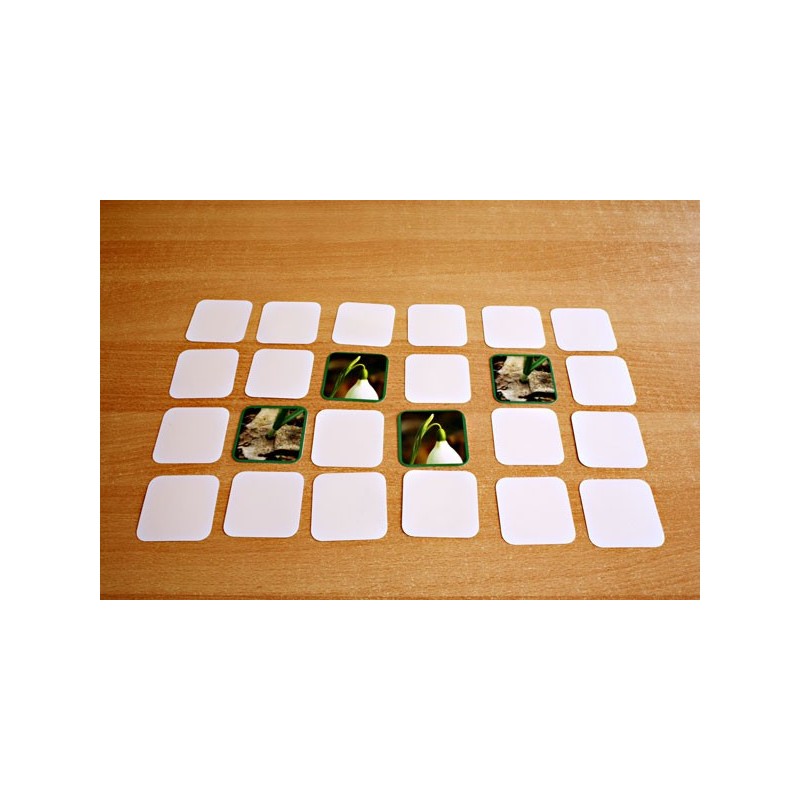 Common Snowdrop	 (Dieser Artikel ist auch in deutsch erhältlich)