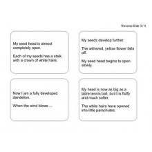 Dandelion Booklet (This article is also available in German)