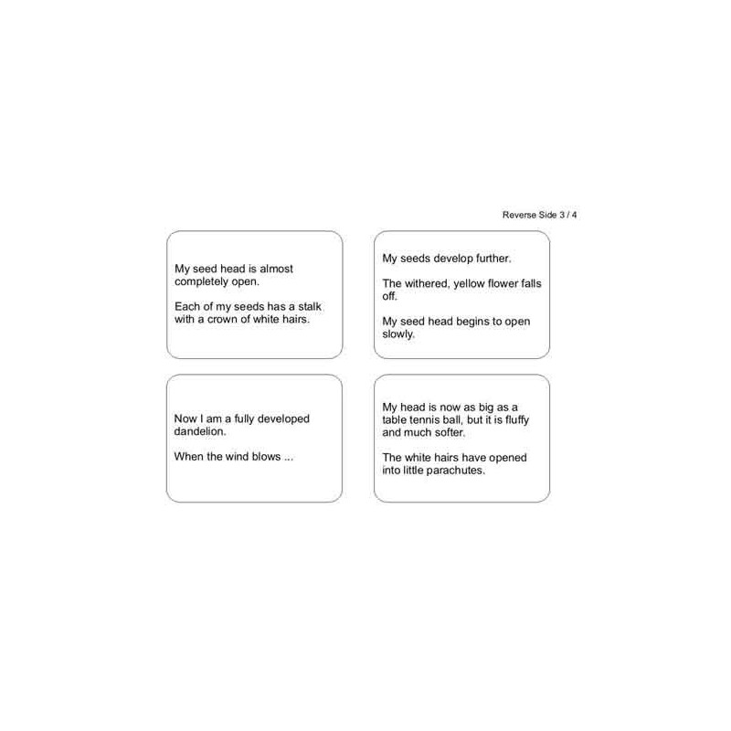 Dandelion Booklet (Dieser Artikel ist auch in deutsch erhältlich)