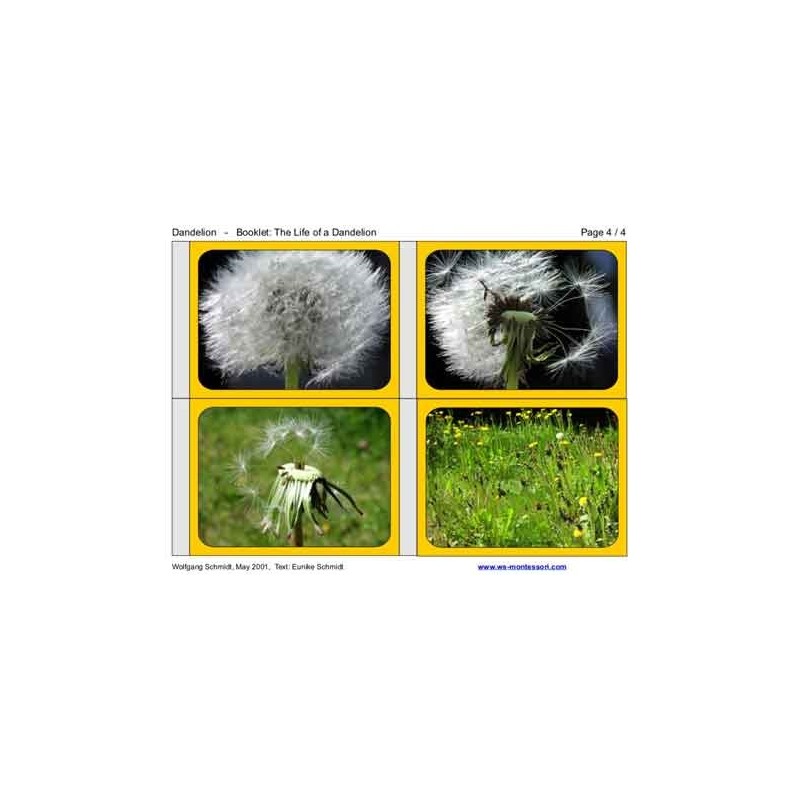 Dandelion Booklet (This article is also available in German)