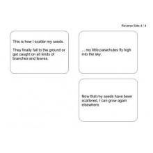 Dandelion Booklet (Dieser Artikel ist auch in deutsch erhältlich)