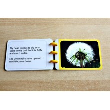 Dandelion Booklet (Dieser Artikel ist auch in deutsch erhältlich)