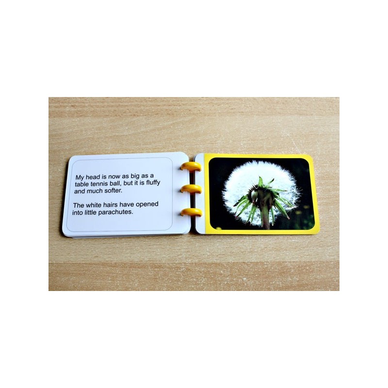 Dandelion Booklet (Dieser Artikel ist auch in deutsch erhältlich)