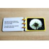 Dandelion Booklet (This article is also available in German)