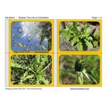 Dandelion Booklet (Dieser Artikel ist auch in deutsch erhältlich)