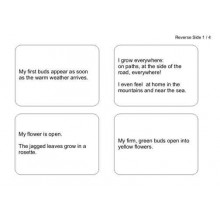 Dandelion Booklet (This article is also available in German)