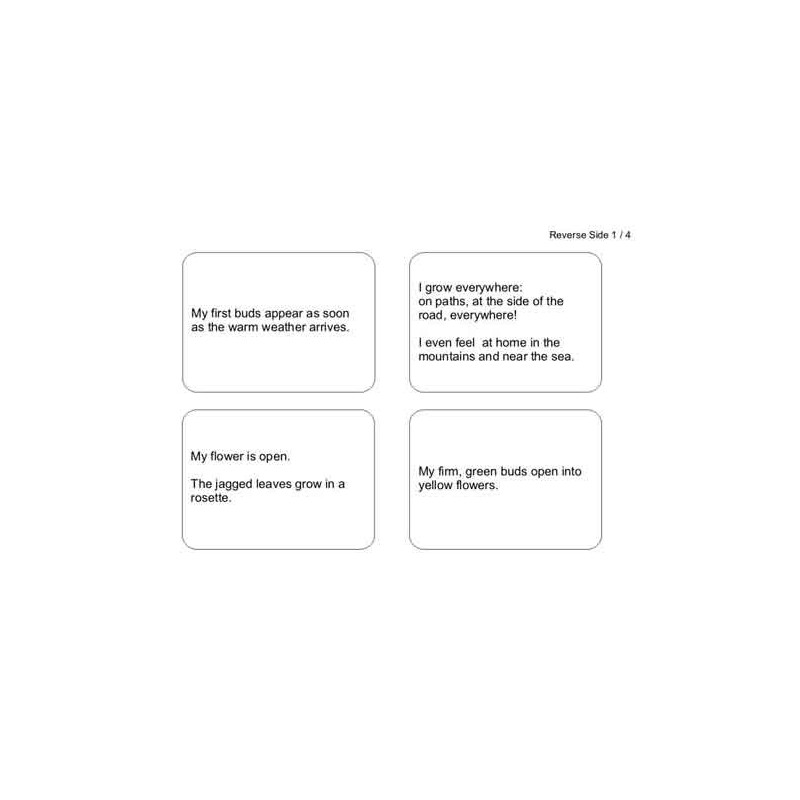 Brožúra Púpava (Tento článok je k dispozícii aj v nemčine)