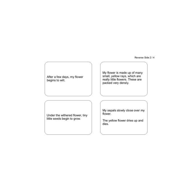 Dandelion Booklet (Dieser Artikel ist auch in deutsch erhältlich)