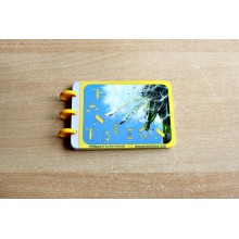 Dandelion Booklet (Dieser Artikel ist auch in deutsch erhältlich)